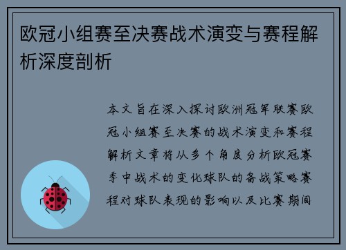 欧冠小组赛至决赛战术演变与赛程解析深度剖析